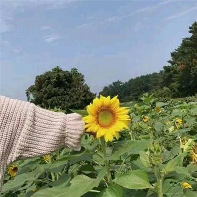 九游版乱世魔君游戏下载